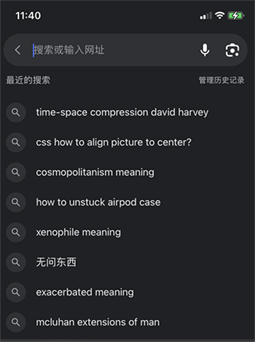 my google search history