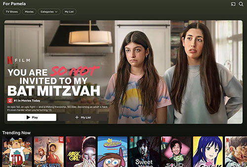 Netflix homepage