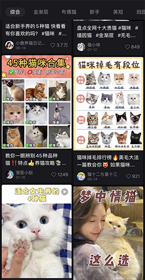 a chinese app called little red book